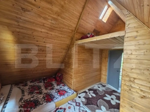 Cabană autentică cu 4565 mp teren, Liniste si Confort, Avram Iancu - imagine 13