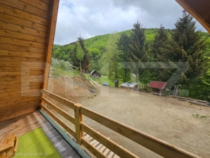 Cabană autentică cu 4565 mp teren, Liniste si Confort, Avram Iancu - imagine 15