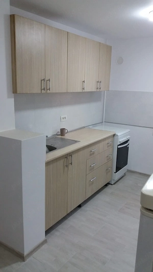 Inchiriez apartament renovat cu 2 camere decomandate - strada Paltinis - imagine 9