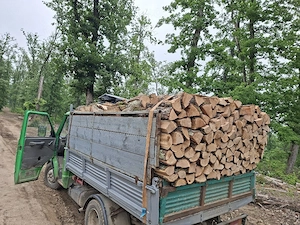 vând lemne de foc esență tare cer,fag,carpen,stejar cantitate garantata  transport gratuit  lemnele 