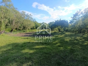 Casa/Proprietate deosebită cu 8142 MP teren | Oarda de Sus | 2 locuințe - imagine 10