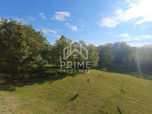 Casa/Proprietate deosebită cu 8142 MP teren | Oarda de Sus | 2 locuințe - imagine 4