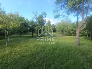 Casa/Proprietate deosebită cu 8142 MP teren | Oarda de Sus | 2 locuințe - imagine 12