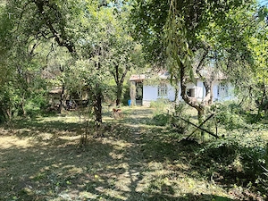 Casa si cabana in aceeasi curte de vanzare - imagine 5