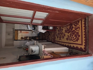Vand casa deosebita in Izimsa, Judetul Mehedinti - imagine 6