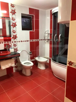 Doua case, spatiu comercial, casa tip pensiune Goicea Dolj  - imagine 10
