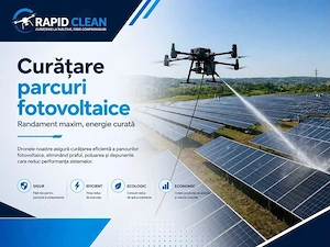 spalare profesionala