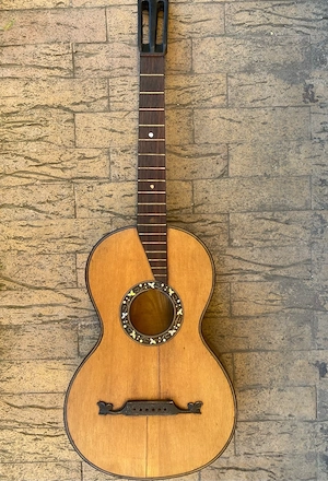 chitara parlor ( proiect )