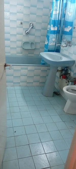 3 camere 82 mp Zona Baba Dochia - imagine 8