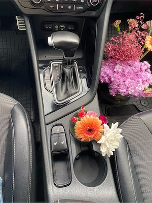 Kia Niro plug in hybrid 1.6  - imagine 10