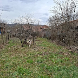 Casa Comuna Balanesti sat Voitestii din Vale jud. Gorj - imagine 5