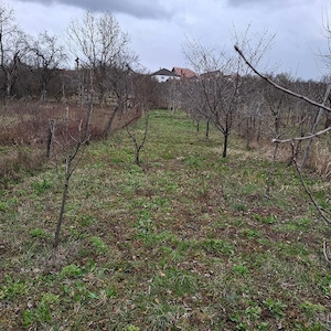 Casa Comuna Balanesti sat Voitestii din Vale jud. Gorj - imagine 4