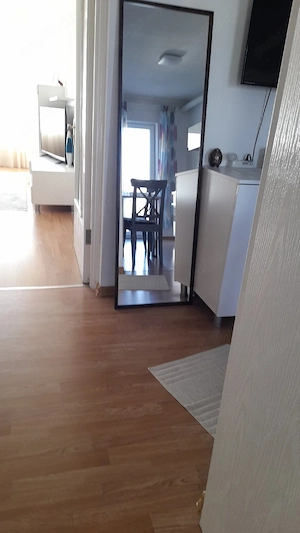 Vind oglindă decorativa.tivă. 