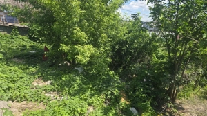 TEREN ULTRACENTRAL-  PALATUL COPIILOR, SUPRAFATA 518 MP, GAZ LA POARTA - imagine 2