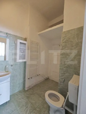 Doua partamente cu potențial de unificare, curte interioară si garaj , str Horea - imagine 10