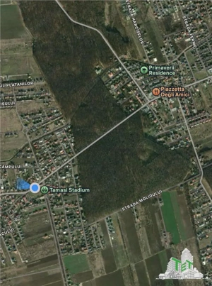 Teren de vanzare langa padure| Tamasi, Corbeanca | 1170mp - imagine 3