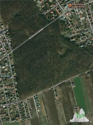 Teren de vanzare langa padure| Tamasi, Corbeanca | 1170mp - imagine 2