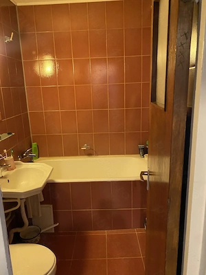 Apartament 2 camere Huedin 11 Berceni - imagine 2