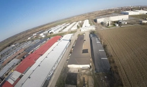  Hala Industriala 2019, Careiului nr. 11, Vetiş, Satu Mare 447355. - imagine 3