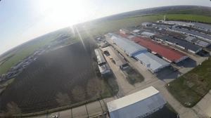  Hala Industriala 2019, Careiului nr. 11, Vetiş, Satu Mare 447355. - imagine 8