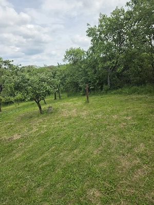 Teren de vânzare în Cluj-Napoca   zona Eta Boeriu, 5029 mp, oportunitate investiție - imagine 4