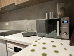 Garsonieră boemă Grădina Icoanei, centrală proprie, renovată lux - imagine 6
