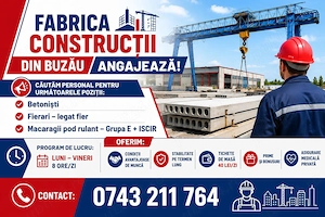 Macaragiu, betonist si legator fier- Buzau