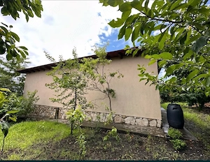 Casa tip parter Pietroasele - imagine 4