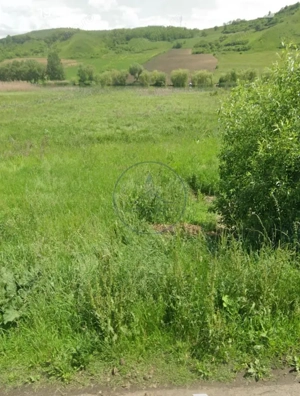  Teren extravilan de vânzare – Brăteni acces la Lac