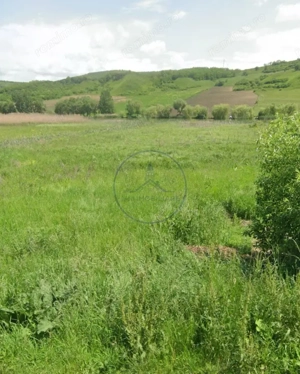  Teren extravilan de vânzare – Brăteni acces la Lac - imagine 3