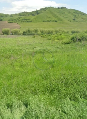  Teren extravilan de vânzare – Brăteni acces la Lac - imagine 2