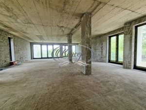 Cladire administrativa in zona Gradinii Botanice - imagine 13