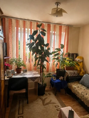 Camera de camin , 19,3 mp, Valea Rosie