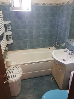 Apartament 2 camere Piata Resita, etaj 1, curat, 360 euro - imagine 10