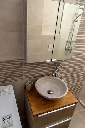 Regim Hotelier Dumbravita - imagine 3