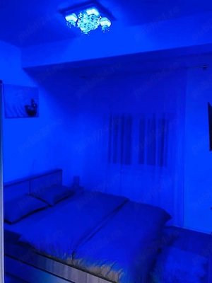 Regim Hotelier Dumbravita - imagine 2