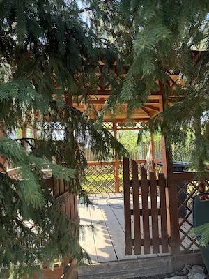 Casă pe malul lacului Ezareni + 1.000 mp teren+ Livadă pomi fructiferi - imagine 4