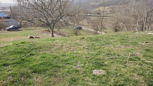 Teren de vânzare, Racovițeni, Buzau - imagine 4