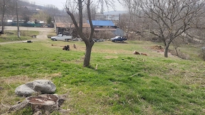 Teren de vânzare, Racovițeni, Buzau - imagine 3