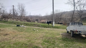 Teren de vânzare, Racovițeni, Buzau - imagine 5