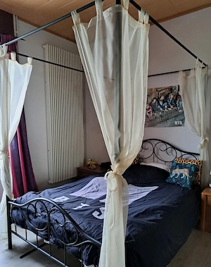 Caut colegă de apartament în Belgia - imagine 2