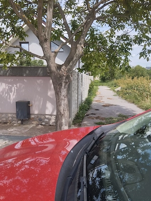 Proprietar   Teren Intravilan 1200 mp, Pielești - imagine 7