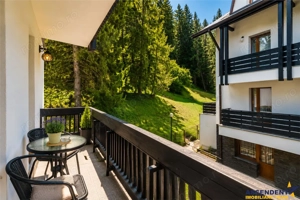 Descopera oportunitatea! Imobiliar Transfer Business in inima statiunii Poiana Brasov, Romania - imagine 7