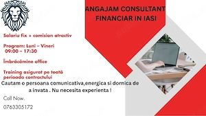 Angajam consultant financiar in Iasi