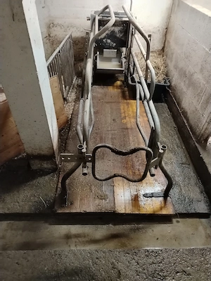 Boxă fatari scroafe! 
