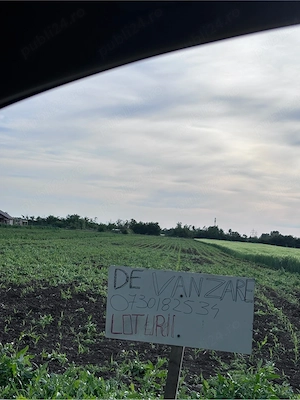 Loturi de 500 mp langa Padurea Mihai Voda, Bolintin deal