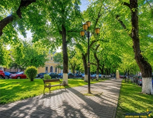 Casa cu doua cai de acces, 5 camere, 4 bai, garaj, langa Cetatea Medievala Targu Mures, - imagine 4