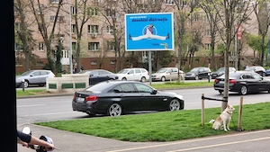 Bmw F10 535i RWD - imagine 6