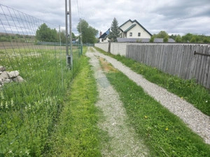 Teren 325mp Dobreni / Strada LASCAR CATARGIU - imagine 7