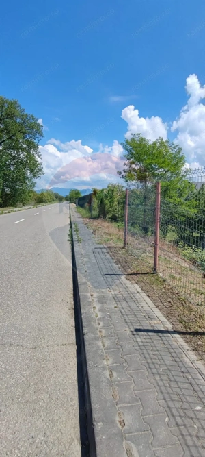 Teren 570mp Sighetu Marmatiei / Strada Crisan - imagine 6